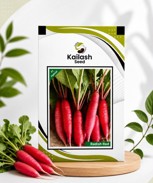 Red Radish